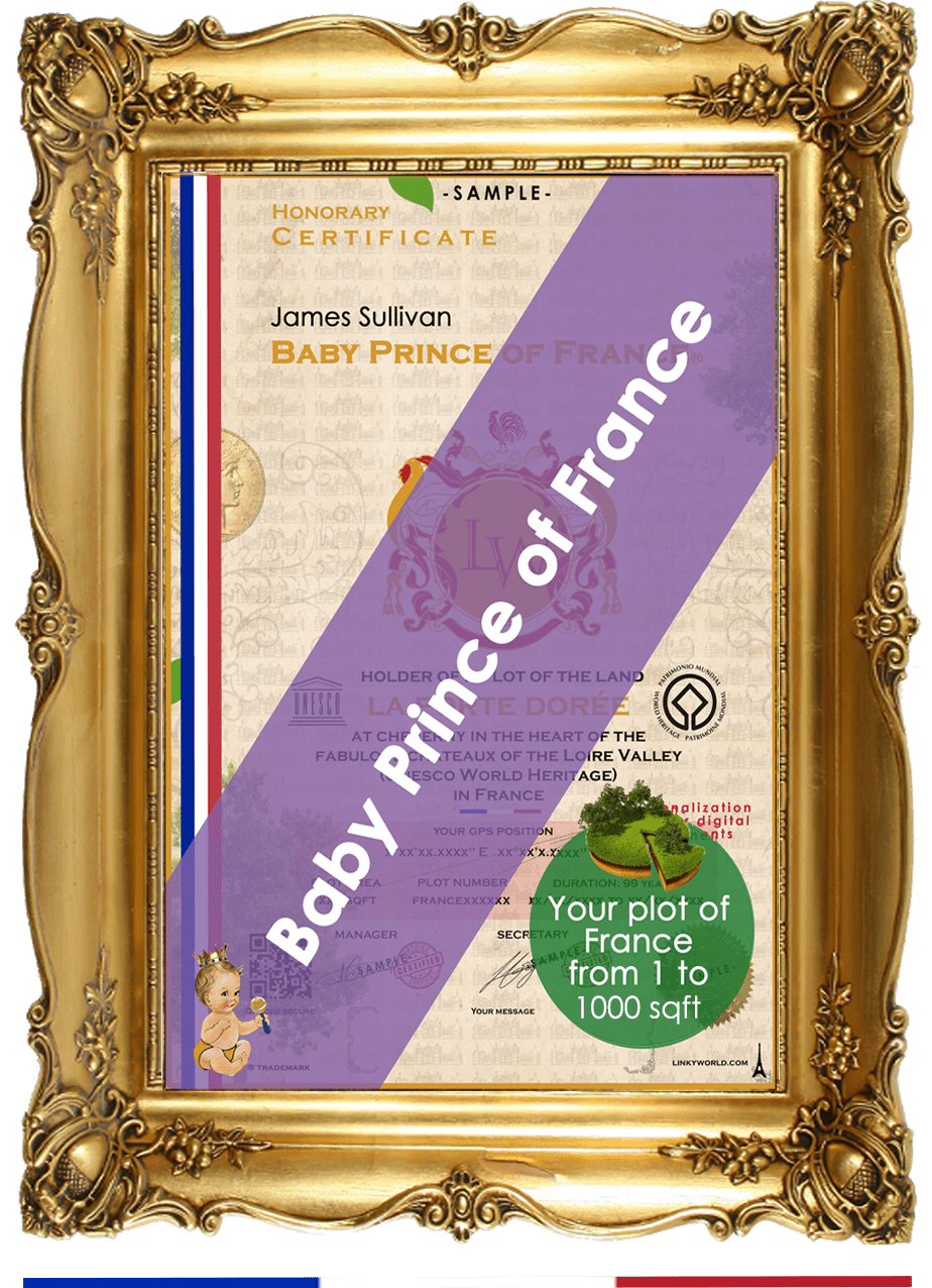 Baby Prince of France ♕