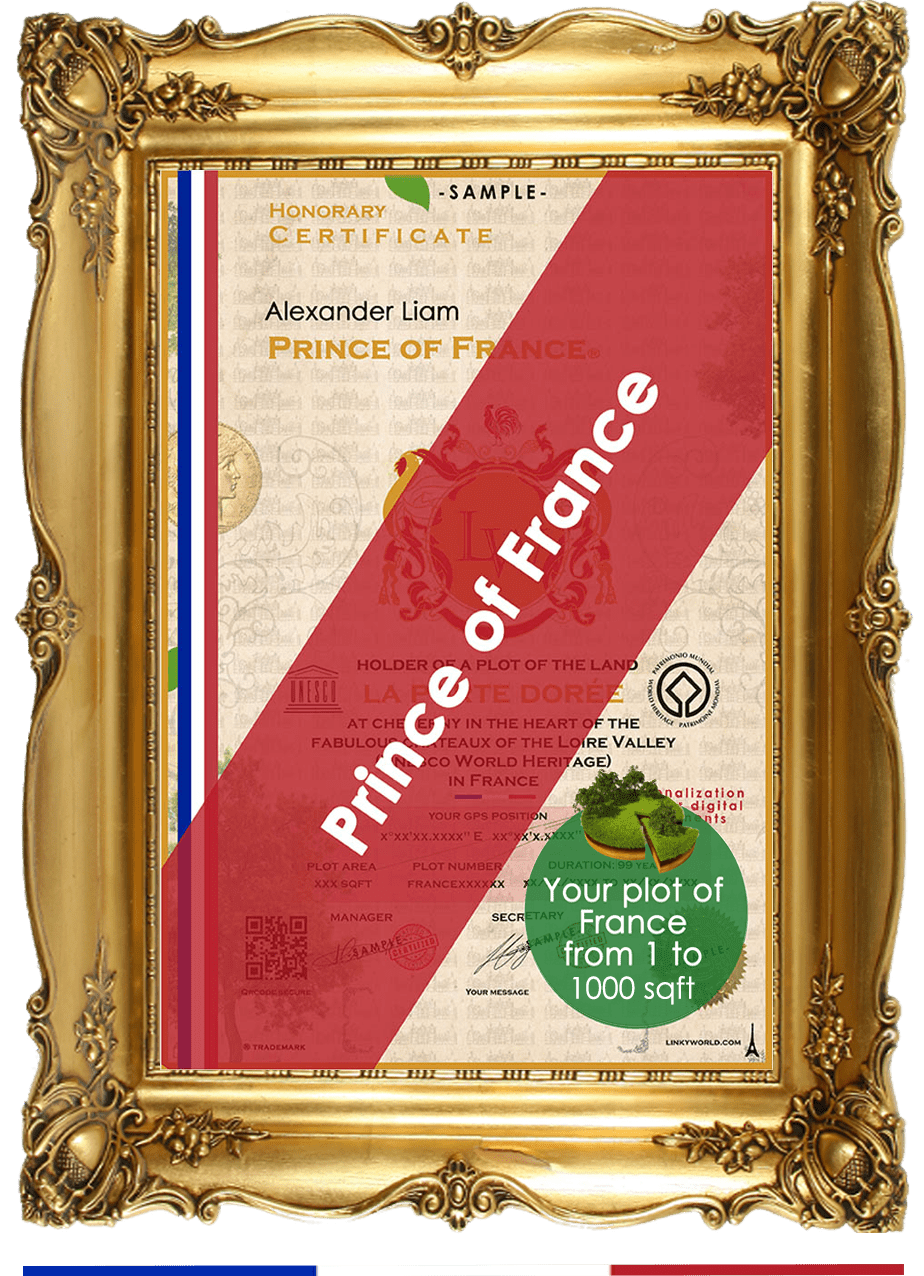 Prince of France ♕
