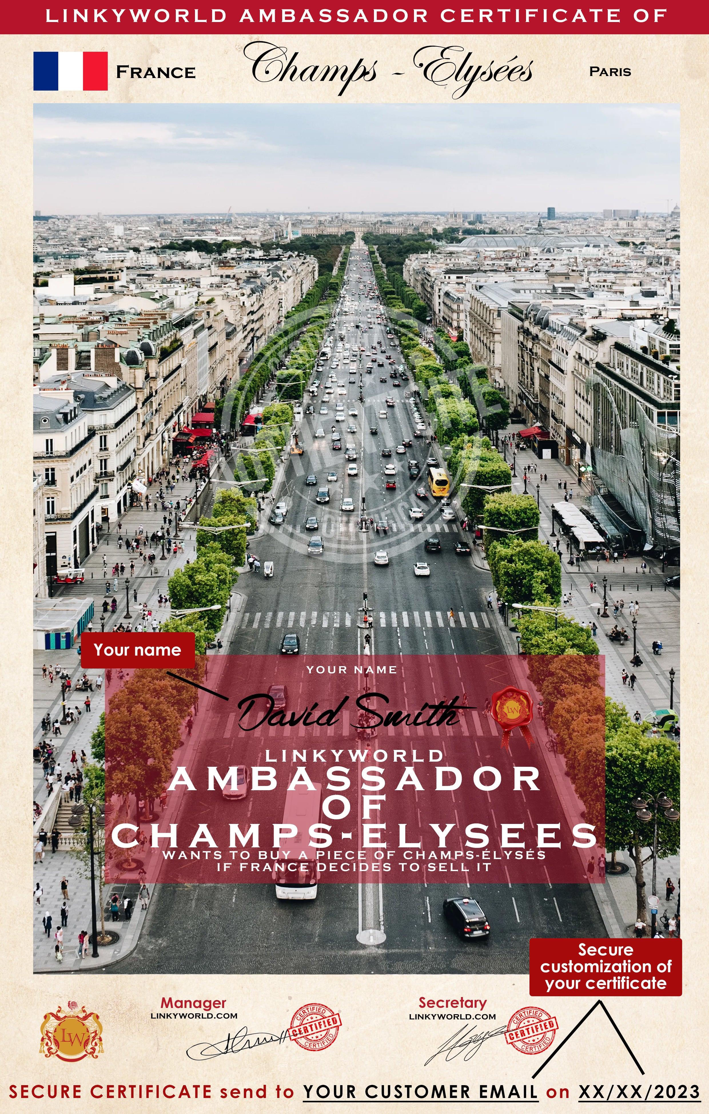 LINKYWORLD Ambassador of Champs elysee