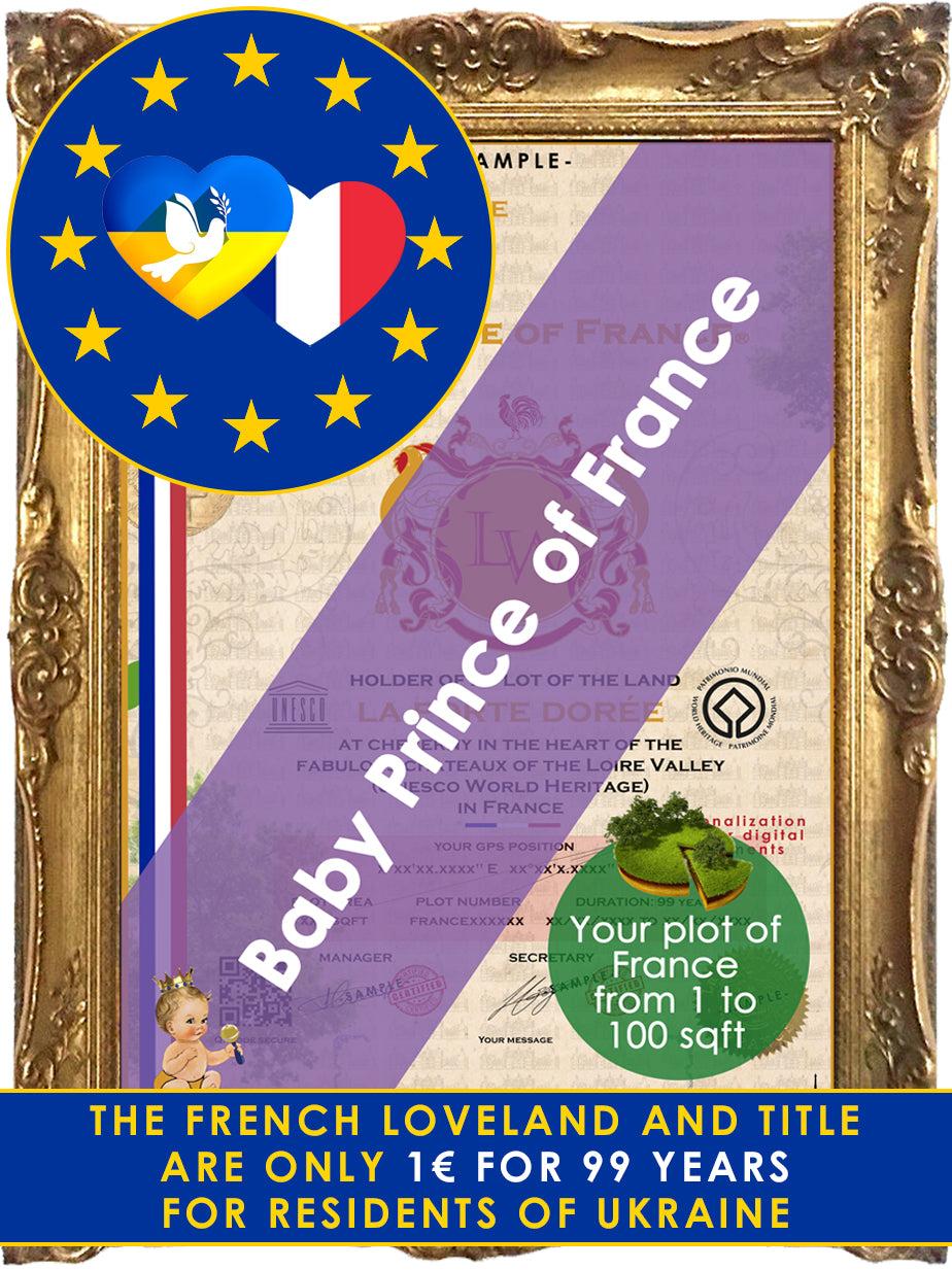 Baby Prince of France (1€ symbolic "for 99 years" for residents of Ukraine)